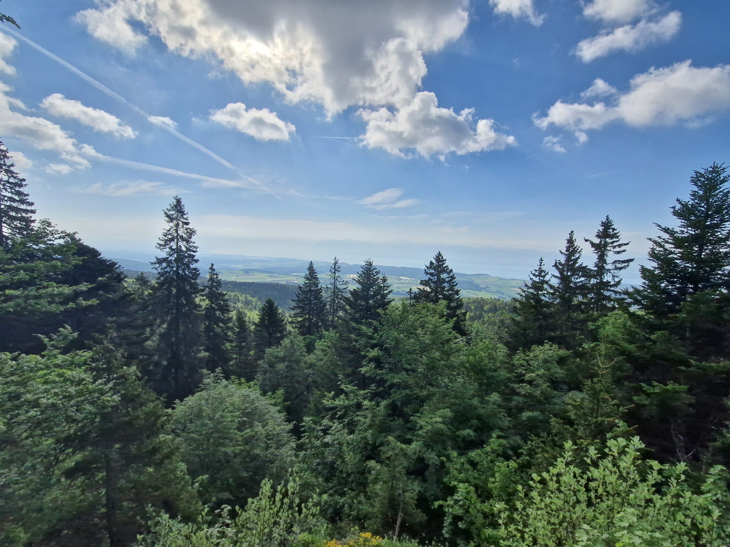 Lire la suite à propos de l’article Le Parc Jura vaudois, « Parc d’importance nationale »